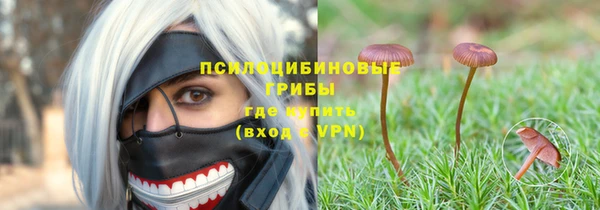 эйфоретик Верхний Тагил