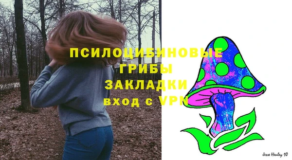 мяу мяу мука Бородино
