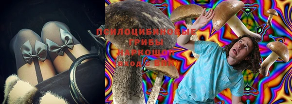 мяу мяу мука Бородино