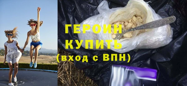 индика Богородск