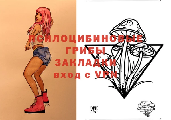 мдпв Бугульма